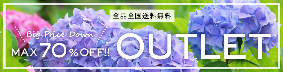 OUTLET